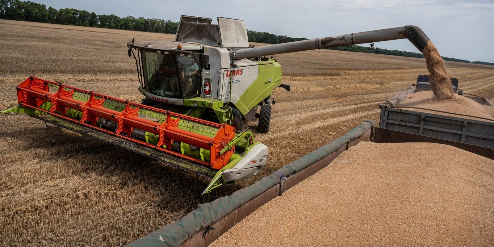 Виготовлено в Україні. Фермери отримали додаткові 86 мільйонів гривень компенсації за придбання вітчизняної сільськогосподарської техніки.