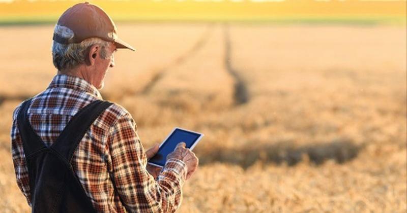 Фінансові гарантії для українських фермерів стали більш доступними, повідомляє Міністерство економіки.