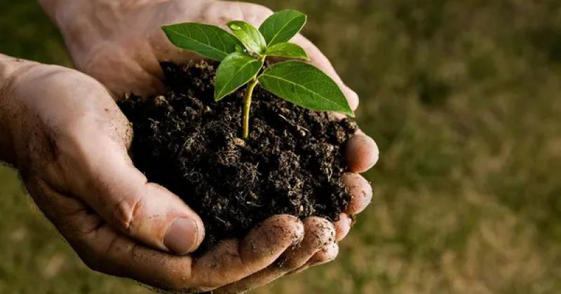 Науково-експертна рада дозволила виведення на ринок приблизно 120 пестицидів. -- Delo.ua