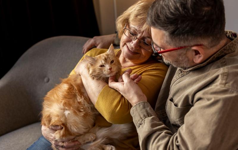 В Україні планують запровадити можливість передачі домашніх улюбленців за заповітом: що важливо знати власникам тварин.