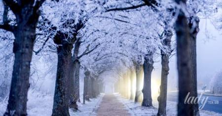 Які таємниці розкривають зірки: астрологічний прогноз на лютий 2026 року.