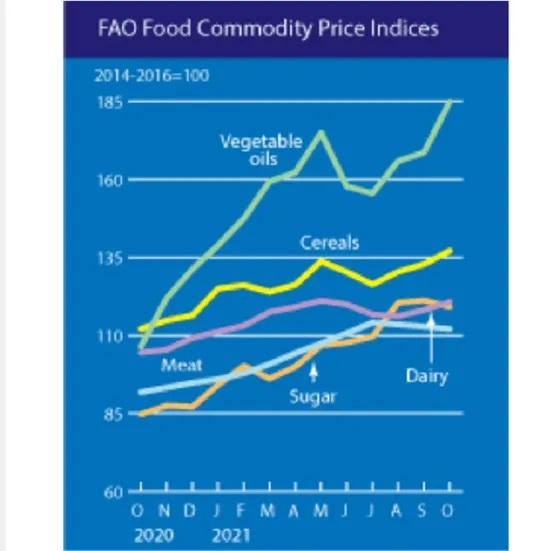 Мировые цены на продовольствие установили рекорд десятилетия