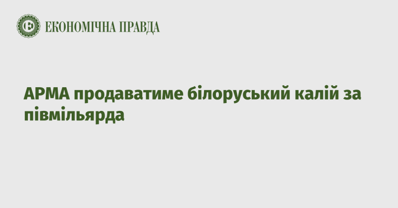 АРМА планує реалізувати білоруський калій на суму півмільярда гривень.