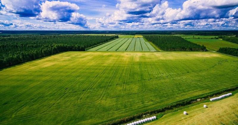 Яка тепер вартість українських земель: аналітики очікують підвищення цін.