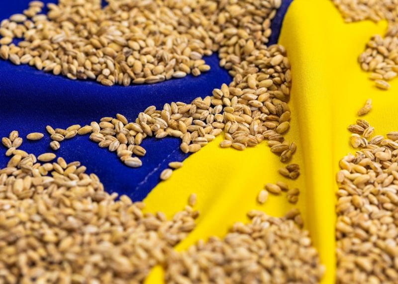 Став відомим найбільший постачальник аграрної продукції з України в країнах Європейського Союзу.