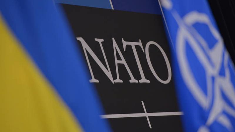 Драгоне: питання щодо гарантій безпеки та присутності союзних сил на українській території все ще на початковій стадії розвитку.