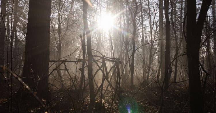 З нарешті не 