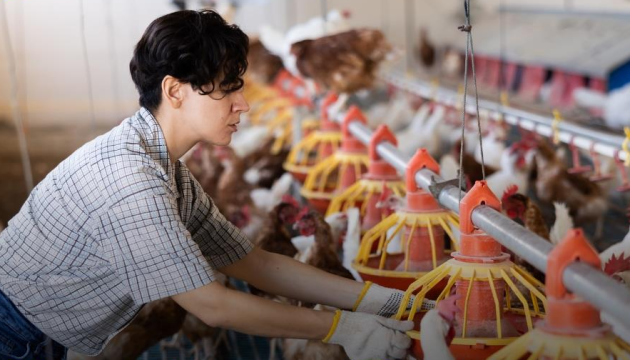 Підприємства, що займаються переробкою, отримають додаткові 217 мільйонів гривень у вигляді грантів на підтримку розвитку та відновлення.