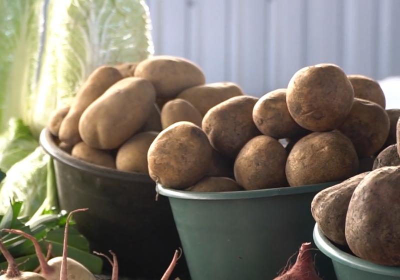 Недостаток товарів у Дніпрі: українцям пояснили, що відбувається на місцевих ринках.