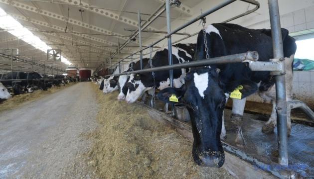 Фермерам, які працюють у прифронтових зонах, буде відшкодовано 50% витрат на зведення фермерських господарств.