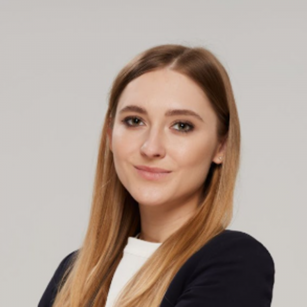 Як законодавчі норми гальмують процес реформування приватизації.