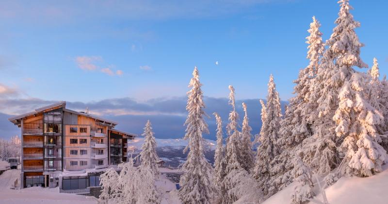 В Україні розпочинається міжнародна ініціатива, спрямована на охорону біорізноманіття Карпат: що це означає -- Delo.ua