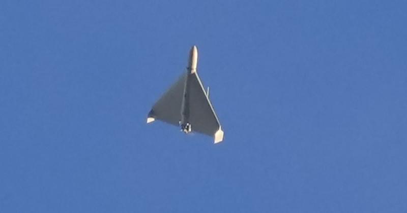 Чому Росія руйнує олійний сектор України: експерт розкрив стратегію Кремля.