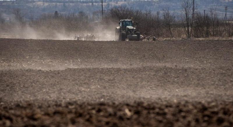 У 2025 році в Україні відбулося підвищення вартості землі: уряд оприлюднив інформацію про регіони з найвищими цінами на гектари.