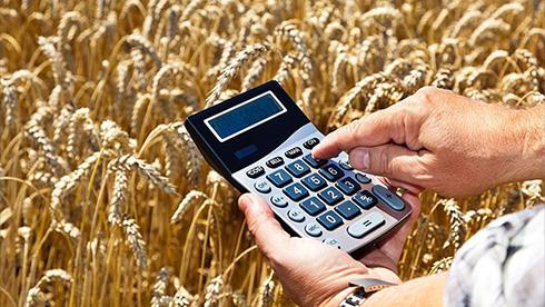 У 2026 році через збільшення витрат аграріїв вартість польових робіт зросте на 5-10%.