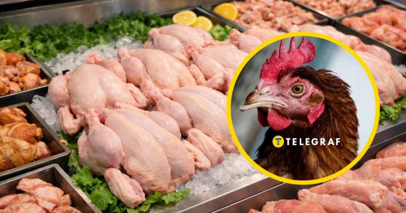 Чому в магазинах курей завжди продають без голови? Ось три причини, про які ви, можливо, навіть не думали.