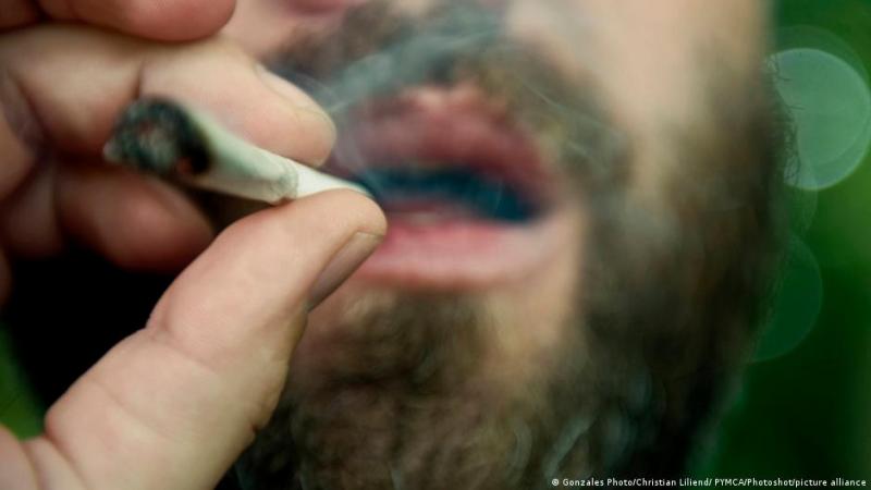 Канабіс у Німеччині: шлях від нелегального обігу до легалізації та повернення?
