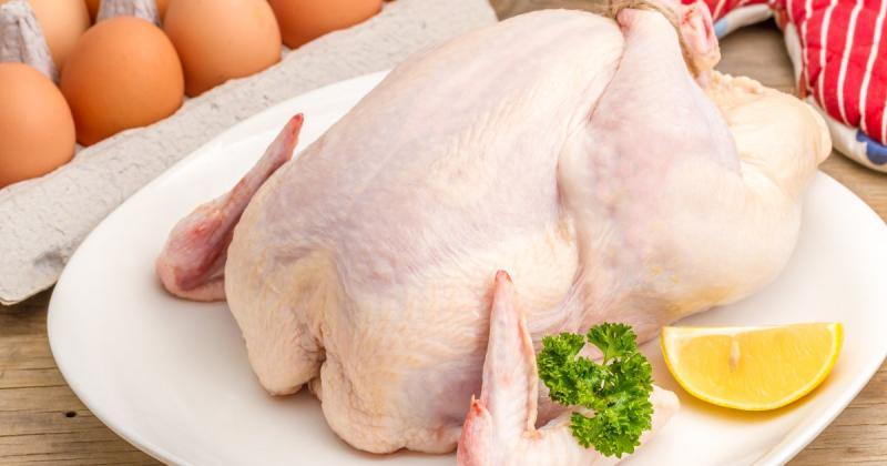 Виробник курячого м'яса з України отримав 1 мільярд гривень для виходу на ринок Європейського Союзу -- Delo.ua