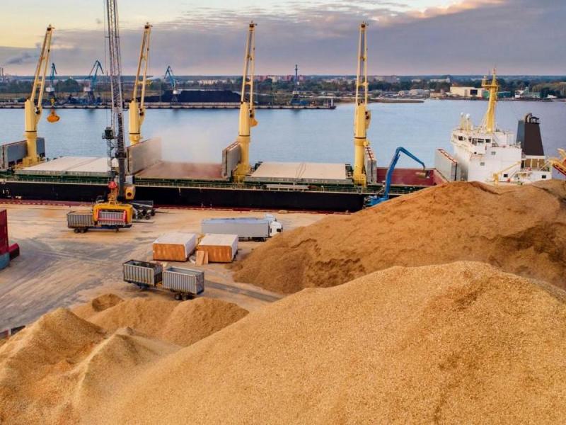 Втрати та зрив угод: як зимові удари по інфраструктурі вплинули на український експорт.