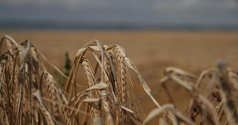 Нові стандарти 