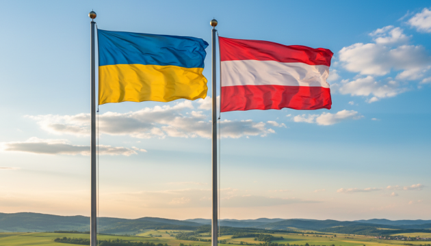 Енергетичний сектор і відновлення дорожньої інфраструктури: Австрія братиме участь у ініціативах з реконструкції.