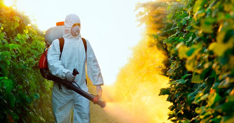Обмеження на застосування пестицидів і зміна правил доступу до ринку можуть вплинути на близько 10 мільйонів гектарів українських територій — Delo.ua.