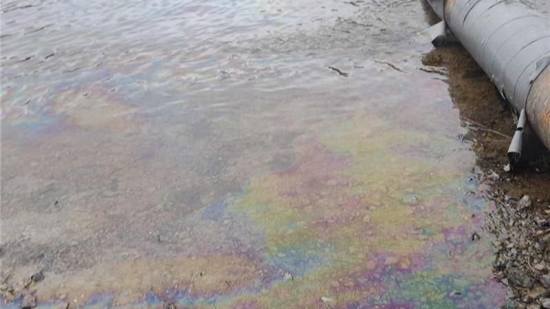 Атака Росії на Дністровську ГАЕС у Чернівецькій області призвела до екологічної катастрофи.