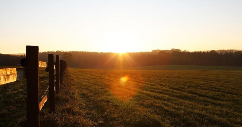 Мати з донькою вирішили не приймати пропозицію в $26 млн за свою земельну ділянку: ось чому.