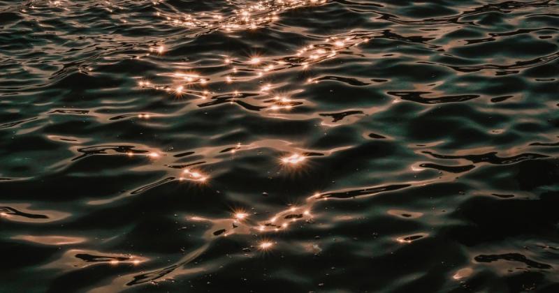 Україна активно розробляє комплексні рішення для озер в регіоні Придунав'я та водогосподарської інфраструктури Одеської області -- Delo.ua