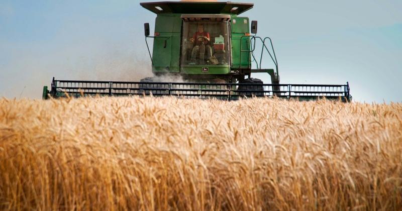 Стартапи на сумму 50 000 євро: фермери Львівської області мають можливість отримати фінансування для біоекологічних технологій -- Delo.ua