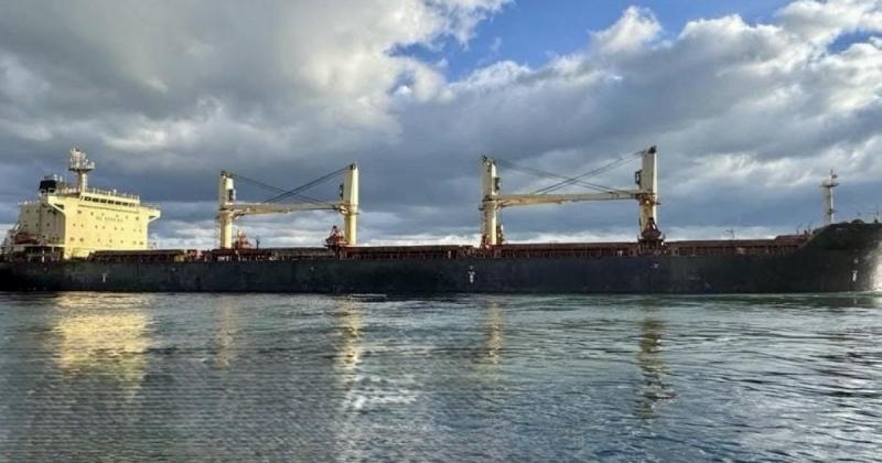 Призупинення морського експорту: фермери понесуть мільярдні збитки, кожне друге зернове підприємство може опинитися у збитках -- Delo.ua