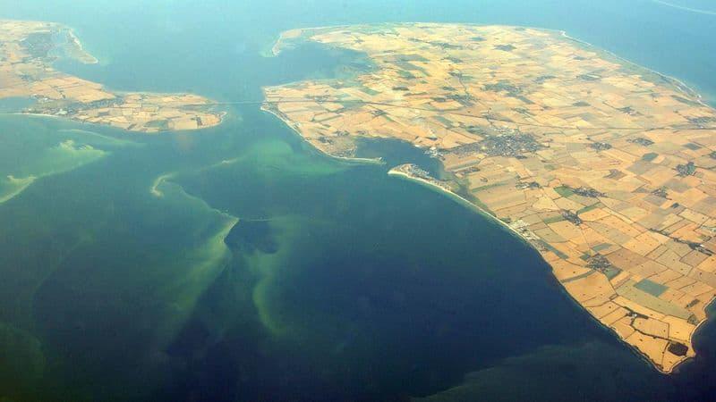 У водах північної Німеччини активно розмножуються водорості, які можуть бути небезпечними для здоров'я.