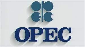 Серпневий звіт OPEC: аналіз ринків нафтопродуктів в Європі та Україні