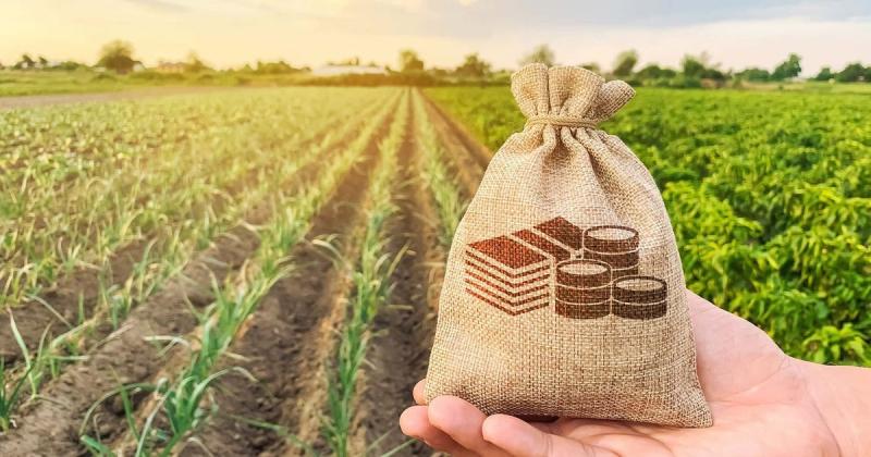 Фермери, що працюють у зонах, близьких до лінії фронту, отримають 10,5 мільйона доларів на забезпечення зберігання свого врожаю, - повідомив Корецький.