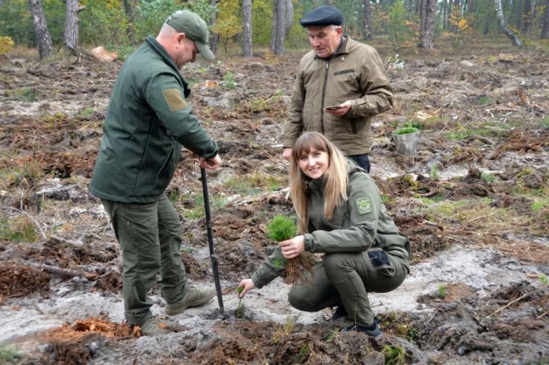 Що відомо про ліси Вінниччини? Напередодні Дня працівника лісу – 20 хвилин інформації.